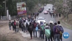 Baydenning immigratsiya bo'yicha yangi qarorlari