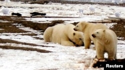 FILE - The year 2015 has been the region's warmest on record, in the Arctic and across the globe.