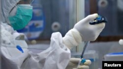 Seorang petugas medis memeriksa sampel tes PCR di rumah sakit Pertamina Pusat di Jakarta (foto: ilustrasi). 