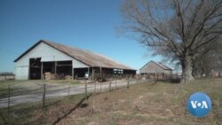 Large Kentucky Army Community Reacts to Iran Hostilities