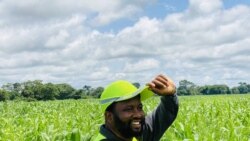 Koɗo Daande-Fulɓe: Muhammadu Malaaɗo Jallo, ardiiɗo mojobere sukaabe fii bantal duumiingal, Gine