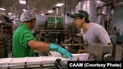 FILE - Gary Chiu of Banyan Foods works in the family business, the oldest tofu factory in Houston, Texas. A new survey finds two-thirds of Americans support free trade.