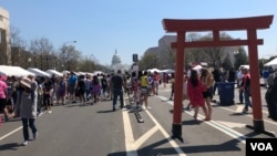 The 58th Annual Sakura Matsuri Japanese Street Festival