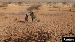 FILE - Armed Turkana tribesmen wait for cattle to get water from a borehole near Baragoy, Kenya, Feb. 14, 2017. 
