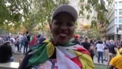 Zvimwe Zvizvarwa zveZimbabwe Zvakavhota Musarudzo YemuAmerica Zvofarira Kukunda KwaVa Joe Biden Vebato Rema Democrats