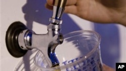 A large amount of beer is usually drunk during Oktoberfest.