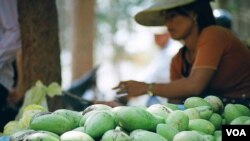 ស្ត្រី⁣ម្នាក់កំពុងលក់ផ្លែស្វាយនៅតាម⁣ដងផ្លូវ។ ដោយ៖ ប៊ុន ថារម្យ