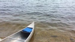 Sunset over a watery wilderness
