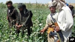 در یک ماه گذشته ۲۹ لابراتوار مخدرات طالبان تخریب شده است