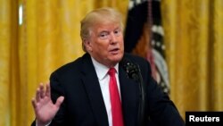 도널드 트럼프 미국 대통령.
