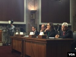 美参议院军事委员会就朝鲜等问题举行听证会