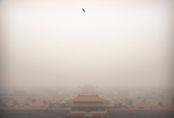 FILE - A bird flies over the Forbidden City on a day with high levels of air pollution in Beijing, China, Jan. 18, 2020.