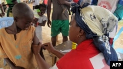 Un agent de la Croix-Rouge vaccine un enfant dans la localité de Nangungue (Est), au Cameroun, le 12 avril 2013. (AFP)