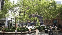 Manhattan's Financial District is now called the Diaper District because of the large number of families with children living there