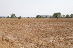 រូប​ឯកសារ៖ ដី​ស្រែ​ក្នុង​ភូមិ​បឹងរាំង ឃុំ​អូរម៉ាល់ ខេត្ត​បាត់ដំបង នៅ​ថ្ងៃ​ទី​១៧ ខែឧសភា ឆ្នាំ​២០២០។ (ស៊ុន ណារិន/VOA)