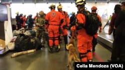 A group of 32 rescuers from Panama arrived with two canine rescuers to help find people trapped in collapsed buildings and dig them out. They arrived at the Benito Juárez International Airport in Mexico City, Sept. 20, 2017. (C. Mendoza/VOA)