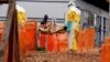 Attackers Kill Doctor in Congo's Ebola Epicenter