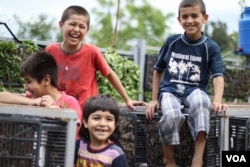 Youngsters play amid the vertical gardens outside their home in Qobet Choumra, a village in the Akkar district. (J. Owens for VOA)