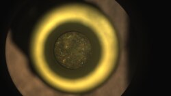 Perseverance’s first cored-rock sample of Mars rock is seen inside its titanium container tube in this image taken by the rover’s Sampling and Caching System Camera. (Image Credit: NASA/JPL-Caltech)