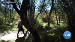 Indigenous Languages Showcased at Mother Tongue Film Festival