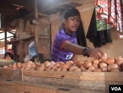Telur ayam merupakan salah satu komoditas kebutuhan pokok yang mengalami kenaikan cukup tinggi (foto: VOA/R. Teja Wulan).