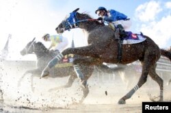 지난해 5월 미국 켄터키주 루이빌에서 열린 제 143회 '켄터키 더비' 경마대회에서 경주마 '클래식 엠파이어'가 달리고 있다.