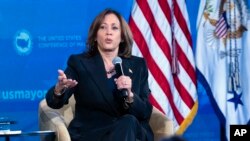 ভাইস প্রেসিডেন্ট কমলা হ্যারিসঃ জো বাইডেন সরে দাঁড়ালে তিনিই দলের প্রেসিডেন্ট পদ প্রার্থী হবেন, তেমন কোন আইনগত বাধ্যবাধকতা নেই।