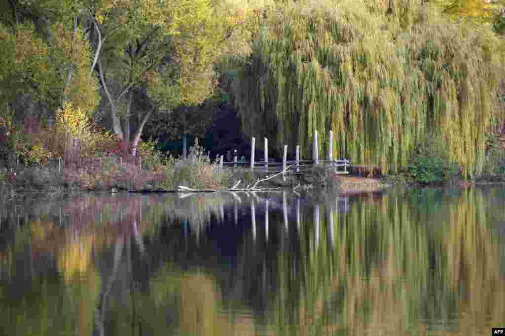 Trees in autumnal colors are reflected in the Max Eyth lake in Stuttgart, Germany.