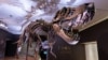Scientists Estimate All-time T. Rex Population Was 2.5 Billion 