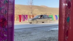 هم تجارت هم تزیین