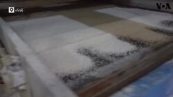 پنجاب: صنعتوں کو کاربن سے پاک کرنے کا مشن کیا ہے؟