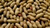 Doctors: Give Babies Crushed Peanuts to Reduce Allergy Risk