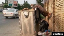 فقر در ایران - عصر ایران