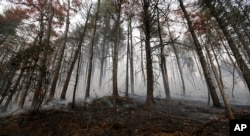 A wildfire smolders after burning a hillside, Nov. 15, 2016, in Clayton, Georgia.
