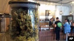 Voters in California were among citizens around the country deciding policy measures. In California, voters decided on questions including legalization of marijuana use and the death penalty among other things.