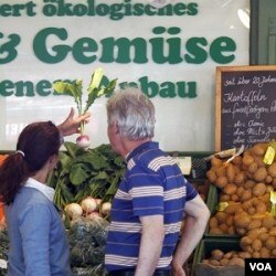 Warga di kota Munich Jerman berhati-hati saat berbelanja sayuran. Pemerintah Jerman menuduh sayuran impor asal Spanyol pembawa bakteri E. Coli.