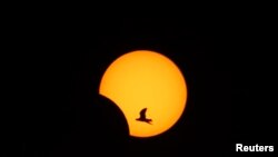 Mặt trăng che khuất một phần mặt trời ở Sidon, miền nam Li-băng, 3/11/13