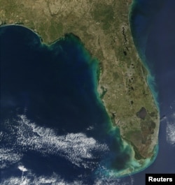 A major red tide bloom extends more than 100 miles along Florida's Gulf coastline and reaches more than 30 miles off shore in this handout NASA true-color image acquired Dec. 22, 2001, by the Moderate-resolution Imaging Spectroradiometer (MODIS), flying a