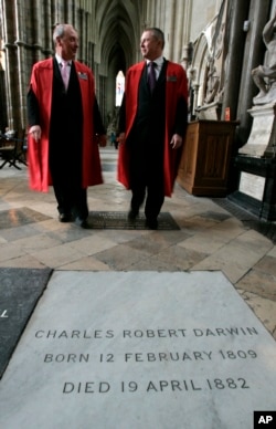 Dua pemandu katedral berjalan ke arah makam Charles Darwin di Westminster Abbey, di London, 4 Februari 2009.