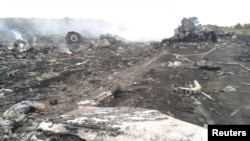 A general view shows the site of a Malaysia Airlines Boeing 777 plane crash in the settlement of Grabovo in the Donetsk region, Ukraine, July 17, 2014.