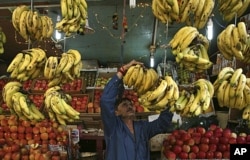 A fruit seller arranges bananas at his stall along a road in Jammu, India November 2011. (AP FILE PHOTO)