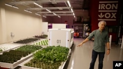 Direktor kompanije "Iron ox" Brendon Aleksander