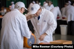 Judges smell a sample of one of the 2,555 cheeses entered in the U.S. Championship Cheese Contest, in Green Bay, Wis., March 5, 2019. Smell is just one criterion in the technical competition of the contest that began in 1981.