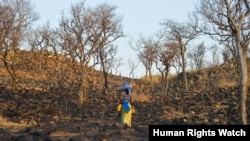 The farmland provided to Senolia S., upon her resettlement to Cateme, was reclaimed by its original cultivators. (Samer Muscati/Human Rights Watch)