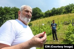Džemal Habibija je godinu dana primao plaću iz poticaja za zapošljavanje bivših boraca. Kaže da je rijetko dolazio na plantažu malina na kojoj je trebao raditi (Foto: CIN)