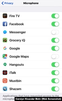 iPhone Microphone Permission Settings