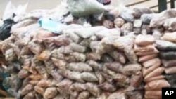 Herbs used for malaria and typhoid