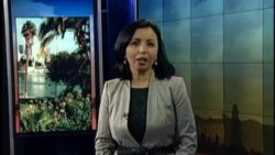 Kar va soqovlar yaxshi ko'radigan bozor - Union Market in Washington