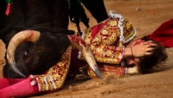 "No Guts, No Glory!"