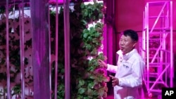 In this Aug. 9, 2018, photo, head of NextOn Choi Jae Bin explains how his farm's crop cultivation system works. (AP Photo/Han Myung Oh)